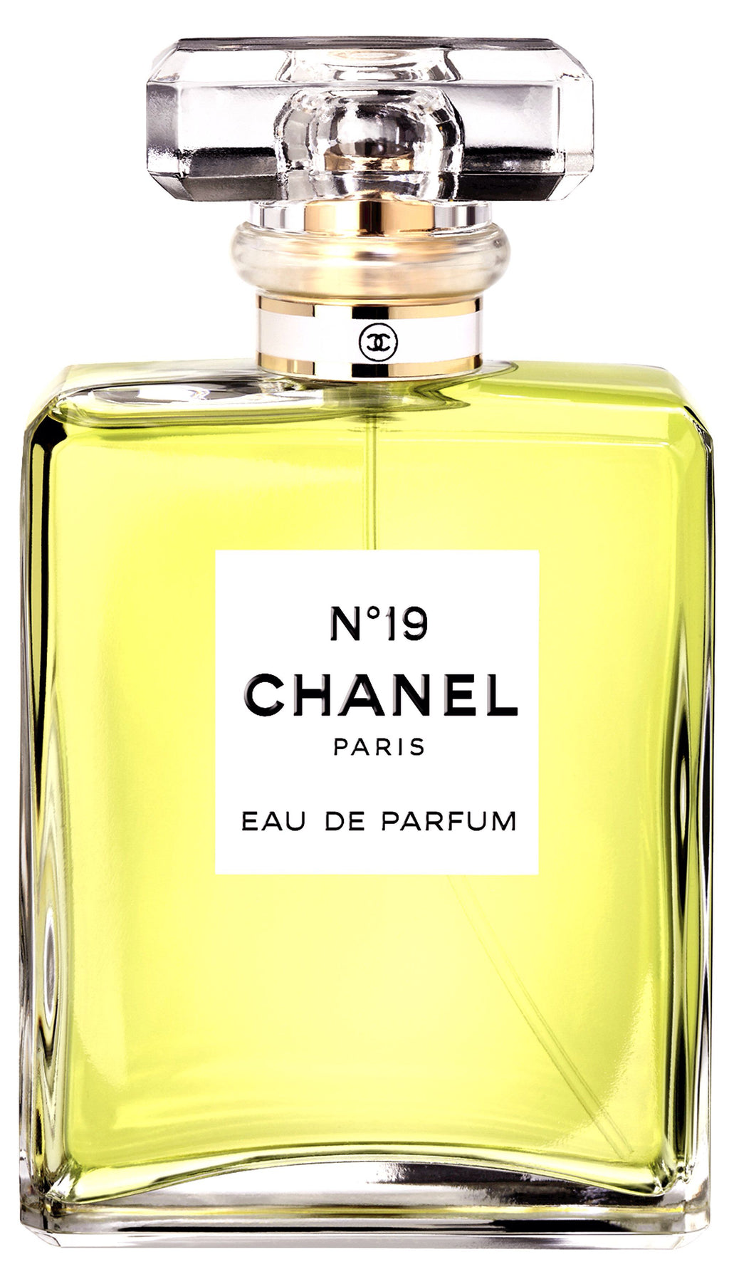 CHANEL N°19 EAU DE PARFUM | 100 ML