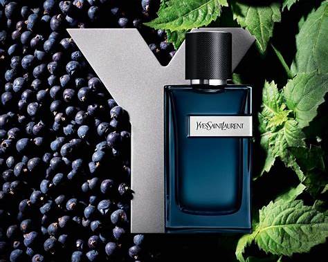 YSL Y  — 100ML — Hombre